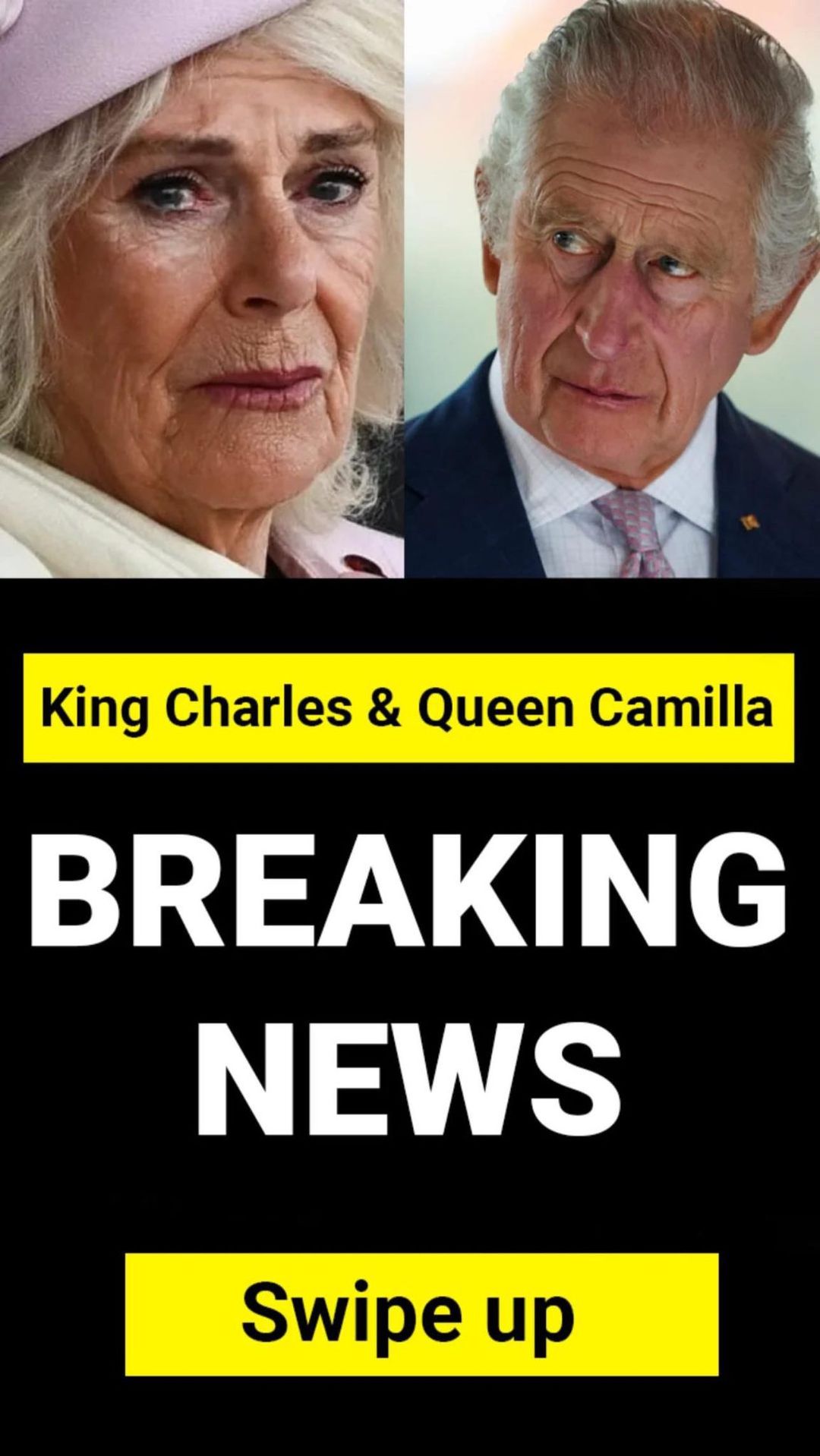 Lip reader discloses what ‘annoyed’ King Charles said as Queen Camilla visibly struggled during chaotic public appearance