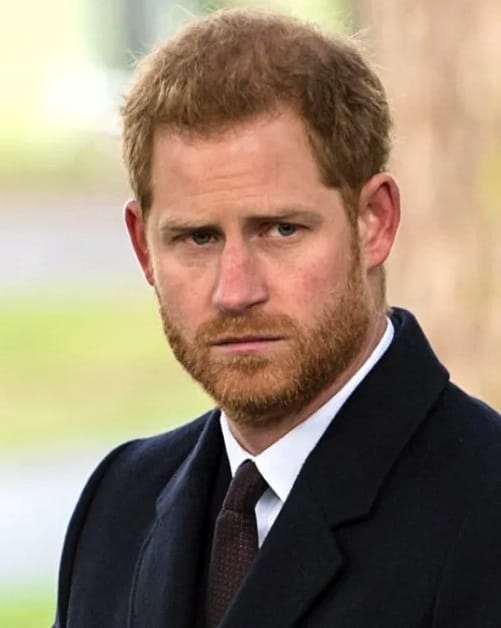 Prince Harry is devastated with grief recommended by