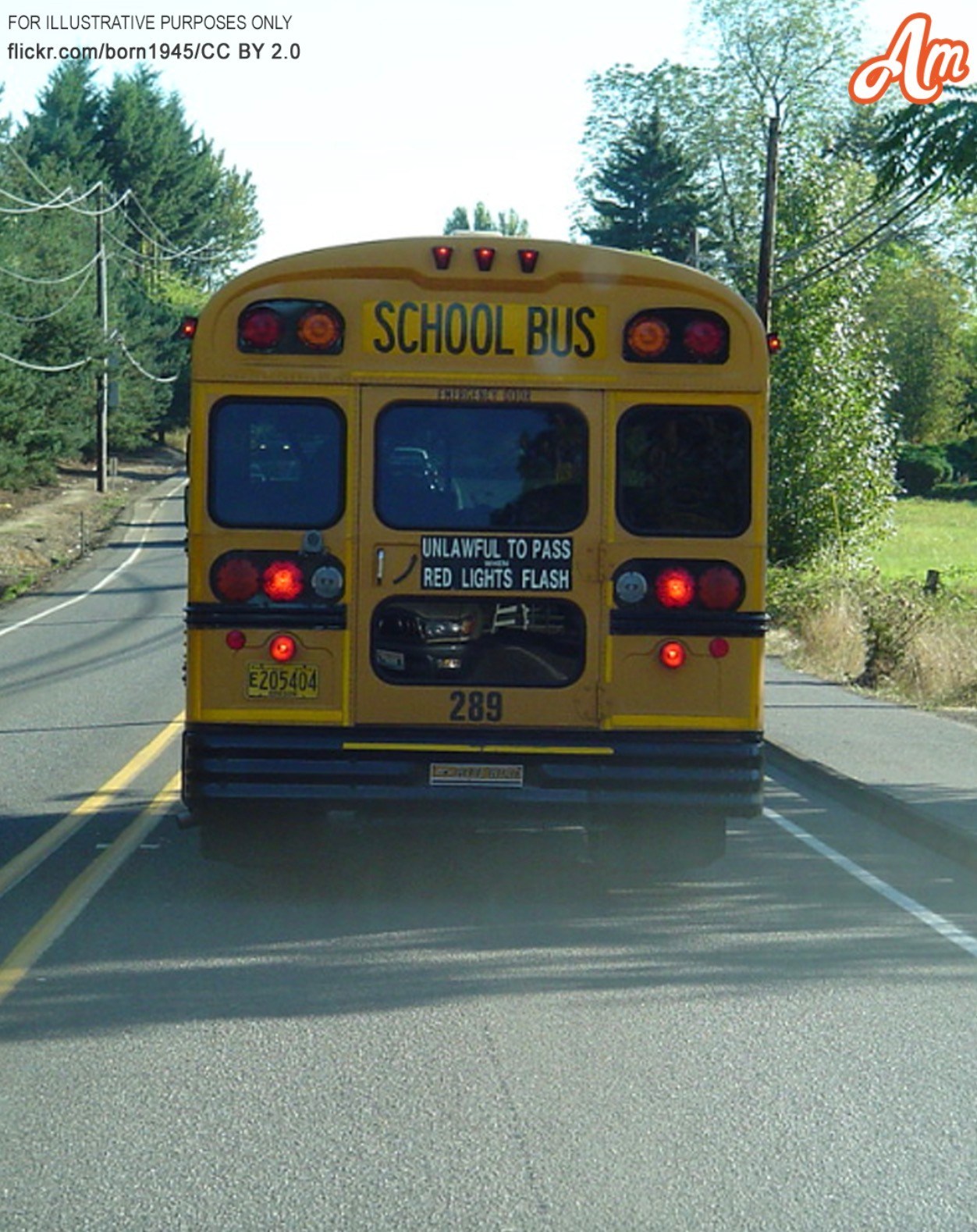 I Noticed a Child in the School Bus Banging on the Rear Window and Screaming for Assistance