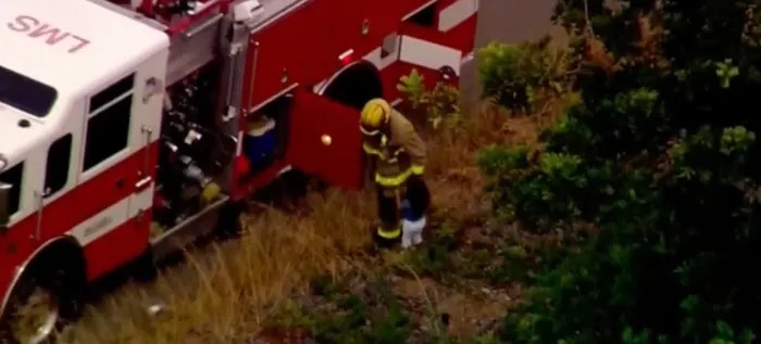 Video Of What Firefighter Was Caught Doing To Little Girl At Car Crash Goes Viral Online