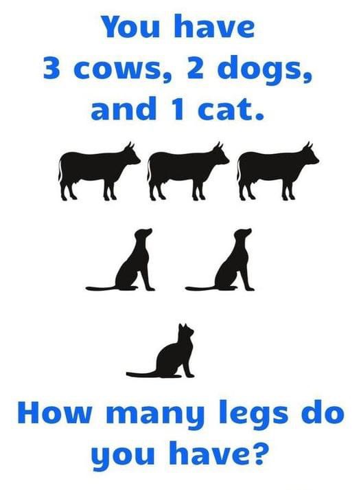 “You have 3 cows, 2 dogs, and 1 cat. How many legs do you have?”