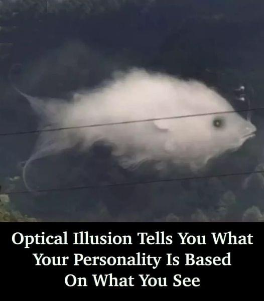 Find Out If You Have Commitment Issues by Taking This Optical Illusion ‘Test’