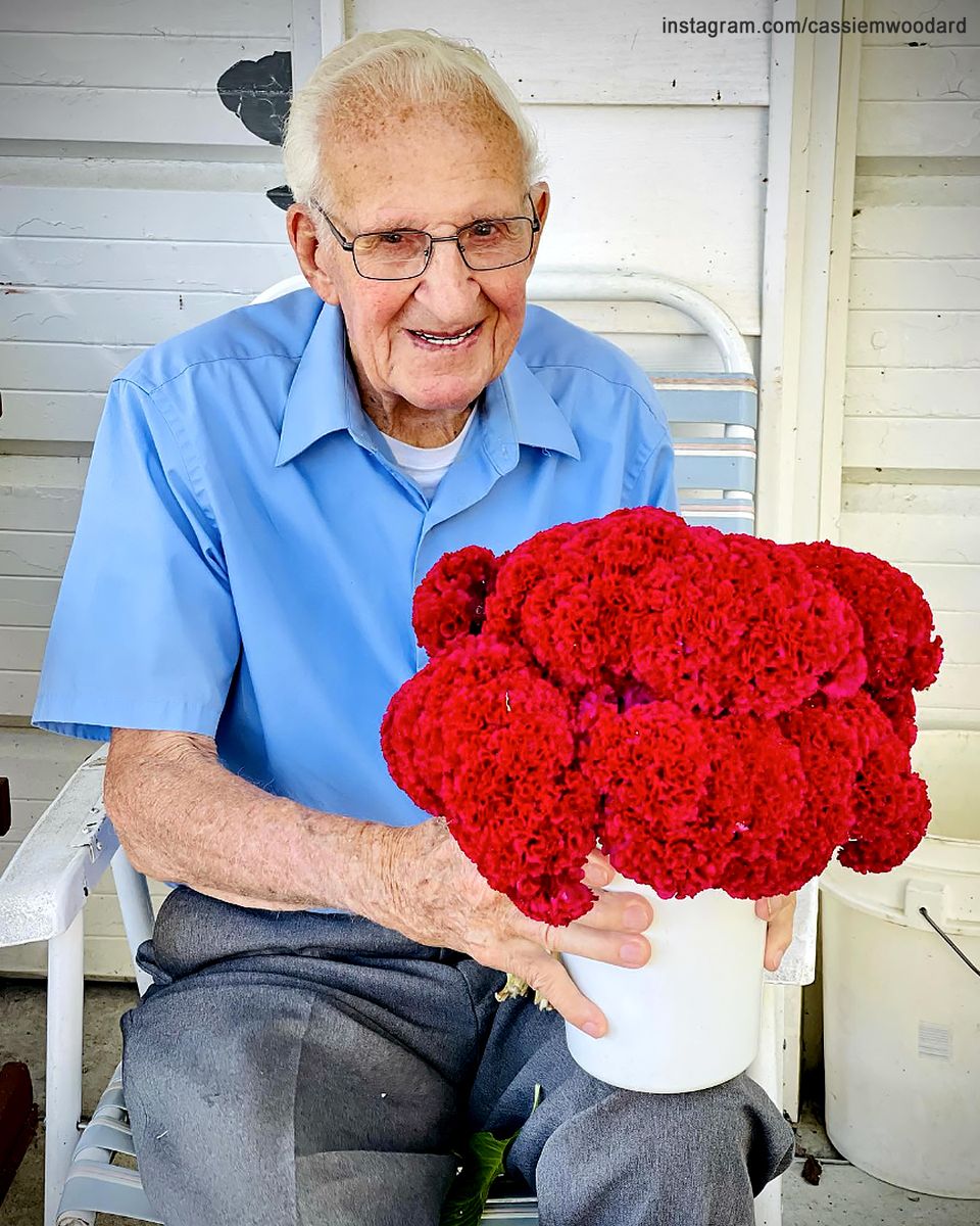 Grandpa, 94, Grows a Garden of Special Flowers for His Granddaughter’s Wedding for around 40 Years – People Are Amazed