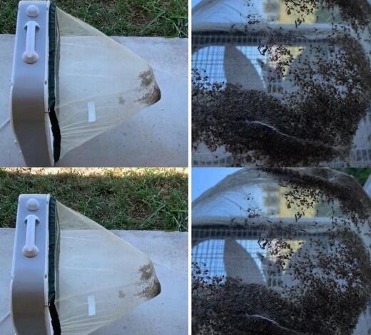 How To Make A Super Effective Mosquito Trap