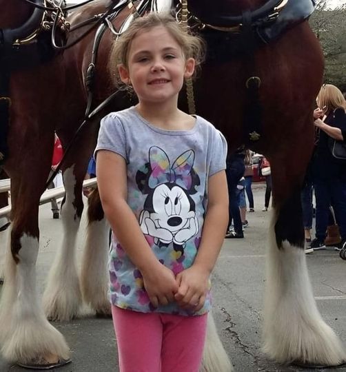 Dad takes daughter’s photo in front of giant horse..