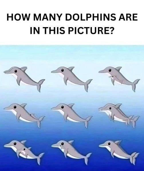 Engaging Your Mind with Optical Illusions and Brain Teasers.
