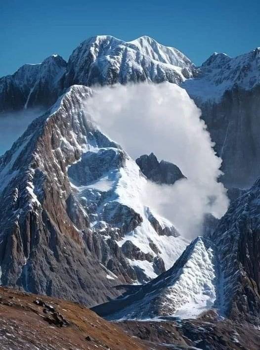 Do You See a G0at or an Eagle? Your Brain Might Be the Decider!