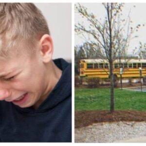 Every Day Little Boy Comes Home from School in Tears until His Father Shows up in His Classroom