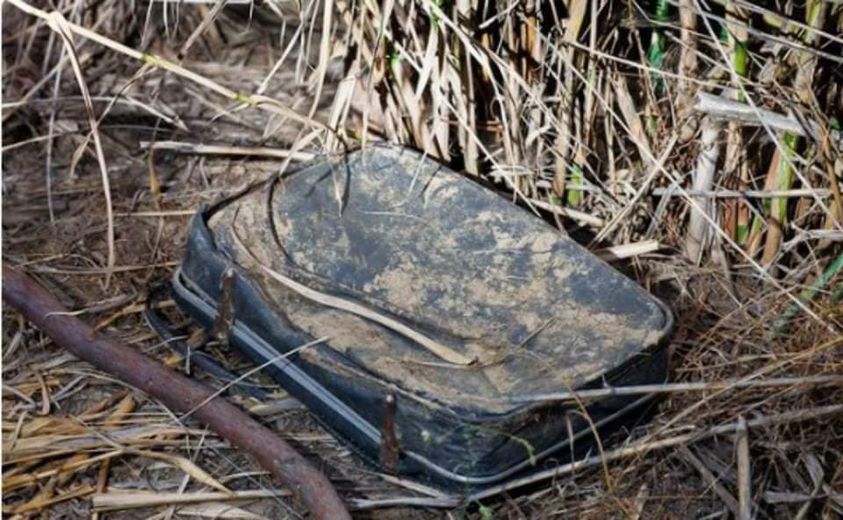 This woman discovered an old, filthy suitcase in a bush.