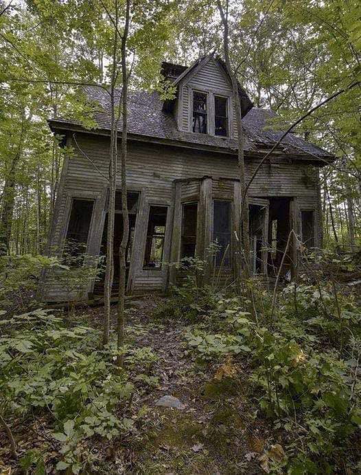 Transforming a Collapsing House into a Beautiful Home