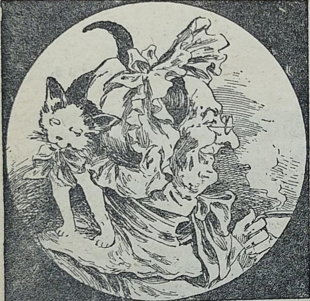 In the image, the cat can be clearly seen standing on the woman’s shoulder, but not everyone can spot where the man is