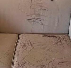 Removing Pen Marks from White Office Furniture: Easy Solutions for Busy Parents