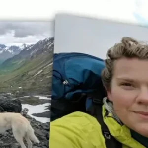 Hiker Falls 600 Feet Down Mountain, State Troopers Discover Her But She Attracted Company