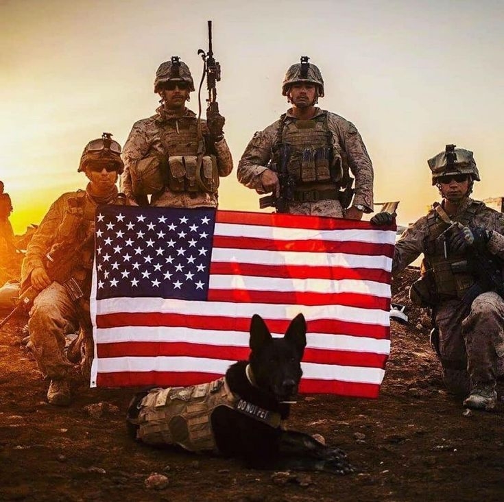 USA Army Respect🇱🇷💪💪