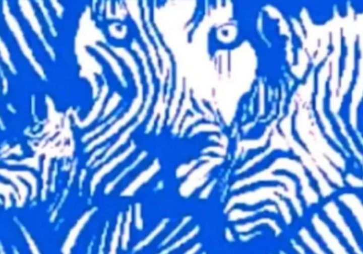 The first animal you see in this optical illusion can show what kind of friend you are.