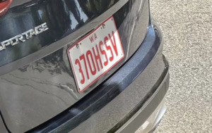 This Clever License Plate Is Making Waves for Surprising