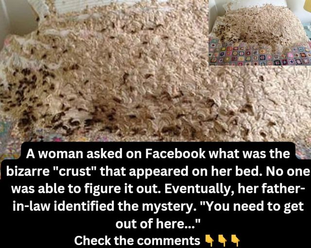 A woman posted on Facebook, asking about a strange “crust” she found on her bed, but no one could solve the mystery.
