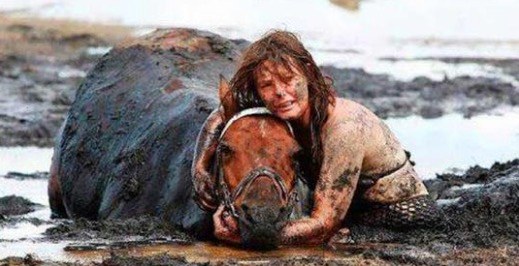 For 3 hours woman stays with trapped horse – then a farmer does everything he can to save its life