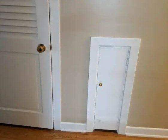 “I saw this tiny door at my neighbor’s house. I’m so confused. What is it for?”