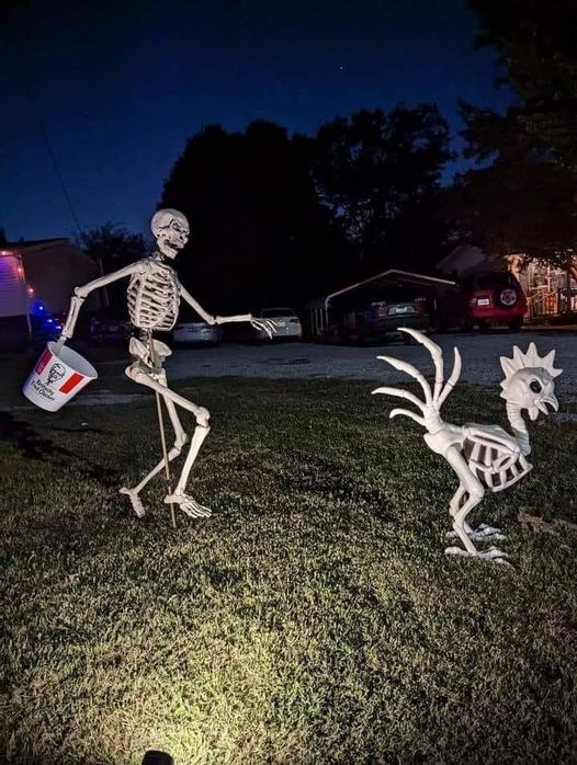 NEIGHBOR’S HILARIOUS RESPONSE TO HALLOWEEN DECORATION CRITICISM WENT VIRAL!