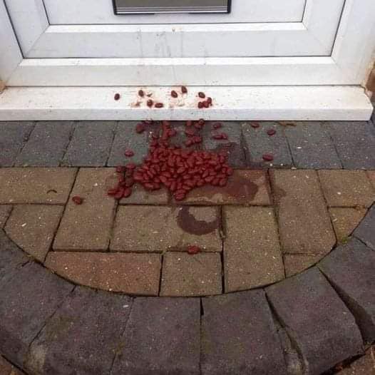 A woman found food thrown at the door of her house, but she ignored the sign.