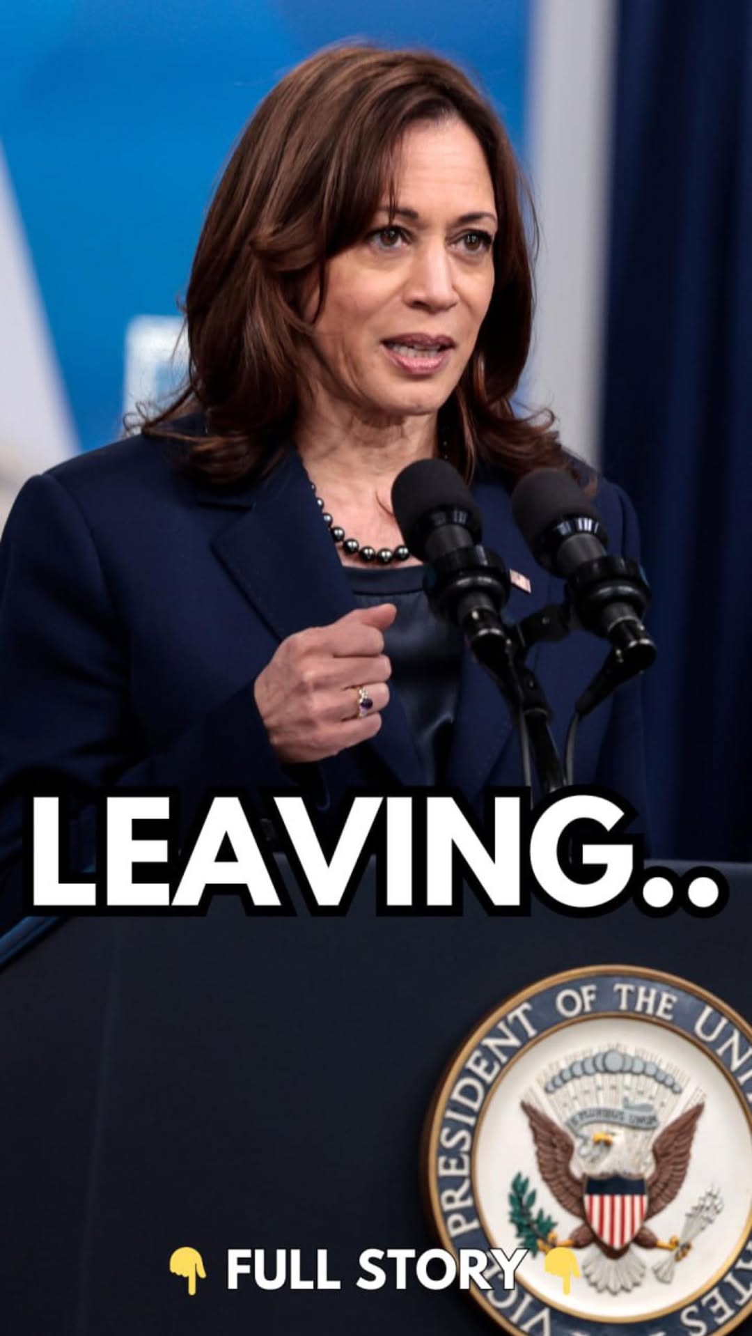 ‘Please Don’t’: Dem Strategist Begs Kamala Not To Run for President in 2028