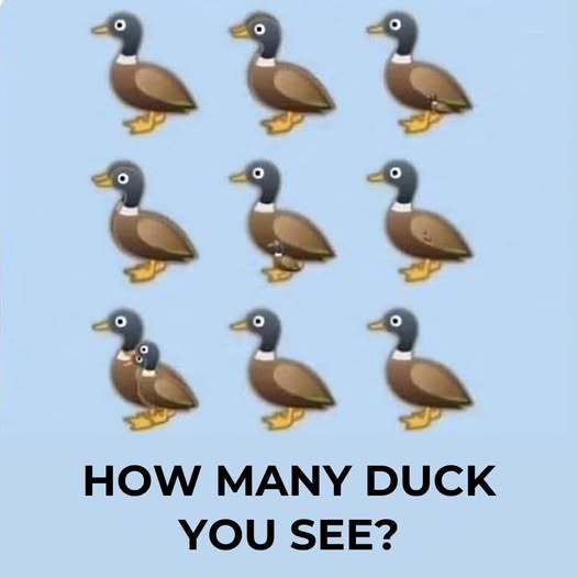 Can you count the ducks in this picture? Learn about the viral challenge that’s everywhere online.