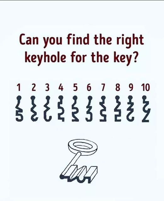Key Challenge: Can You Find the Correct Keyhole?