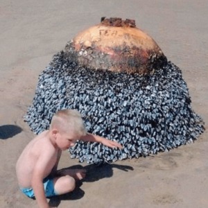 When a father posts a picture of his son at the beach, authorities take quick action after seeing a small detail.