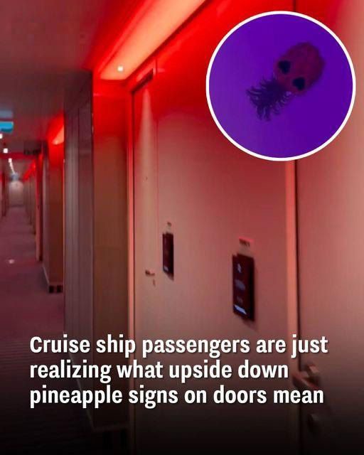 Some Cruise Ship Passengers Are Just Now Realizing The Meaning Of An “Upside-Down Pineapple” On Cabin Doors