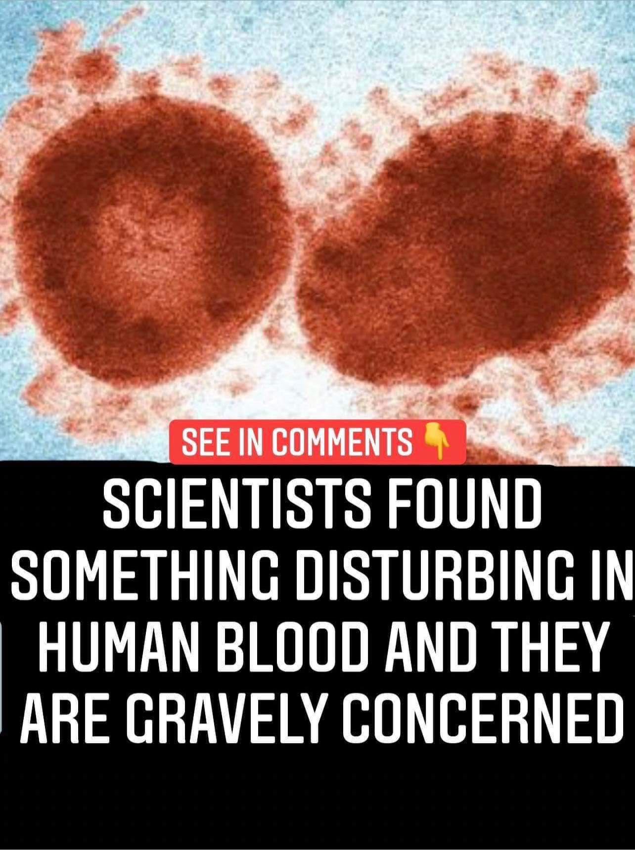 Scientists Found Something Disturbing In Human Blood And They Are Gravely Concerned