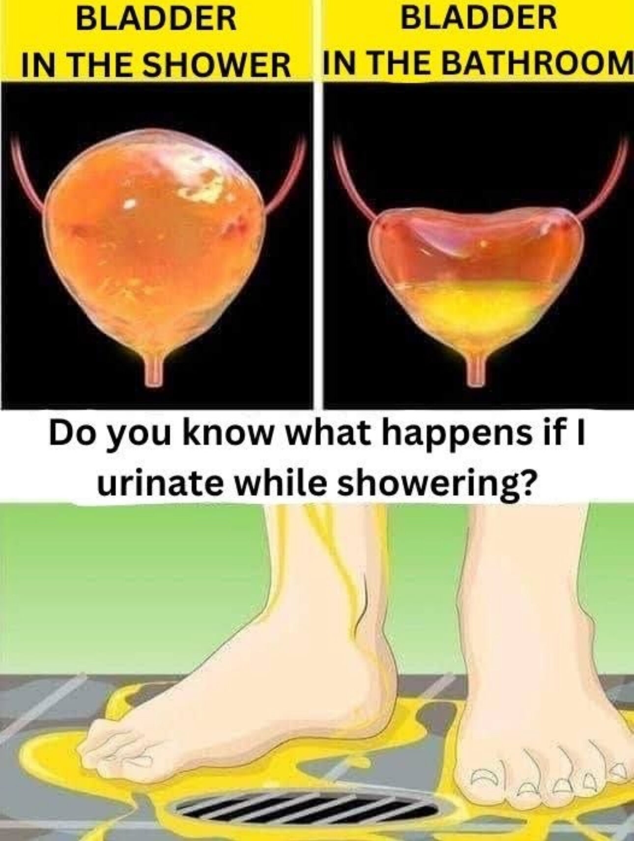 If you urinate in the shower, be careful, you should know that… See more