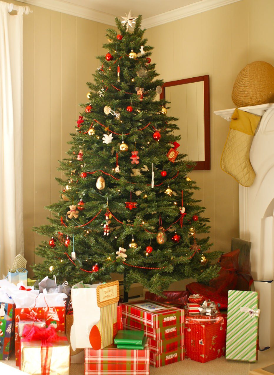 My Mother-in-Law Sent Us a Christmas Tree and Insisted We Decorate It for the HolidayโI Was Such a Fool for Listening to Her