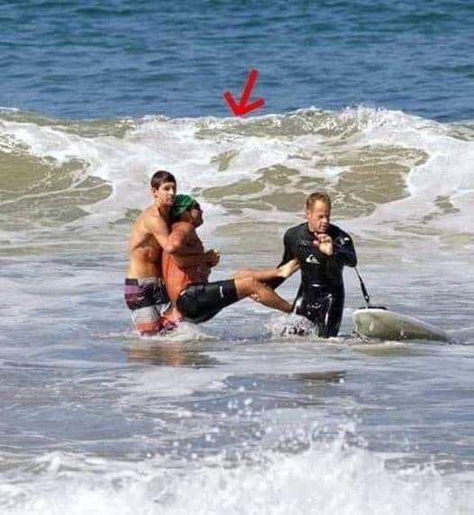 LEGEND LOST Iconic actor has died today after being mauled…