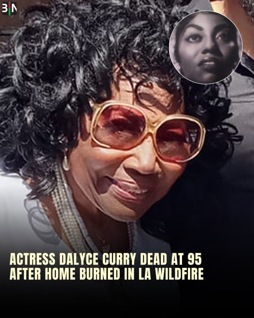 Blues Brothers actress Dalyce Curry dies in LA wildfires - My Blog