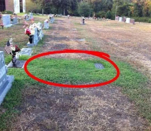 Stranger keeps secretly visiting soldierโs grave, when mom finds out โwhyโ she tracks him down
