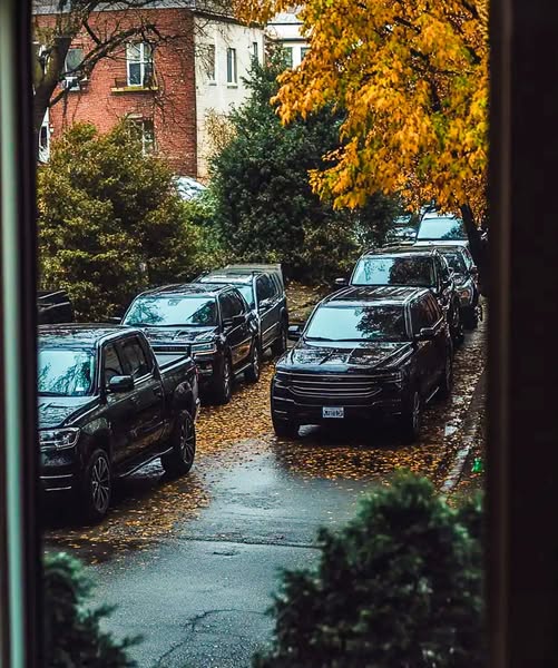 Search Results for: Pregnant Taxi Driver Takes a Homeless Man to the Hospital — Next Morning She Sees a Motorcade of SUVs Outside Her Window