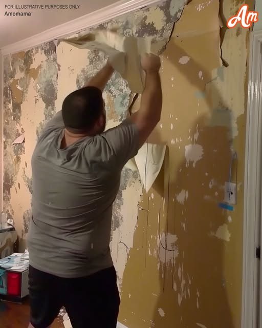My Ex-husband Ripped off the Wallpaper After Our Divorce Because โHe Paid for Itโ โ Karma Had a Joke in Store for Him