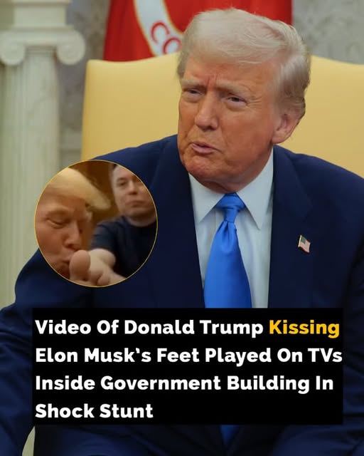 Search Results for: AI video of Trump kissing Musks feet plays inside HUD building