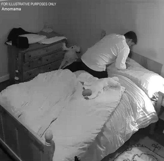 My Husband Insisted on Hiring a Cute Young Nanny While I Was on a Business Trip โ He Didnโt Know I Had Installed Surveillance Cameras