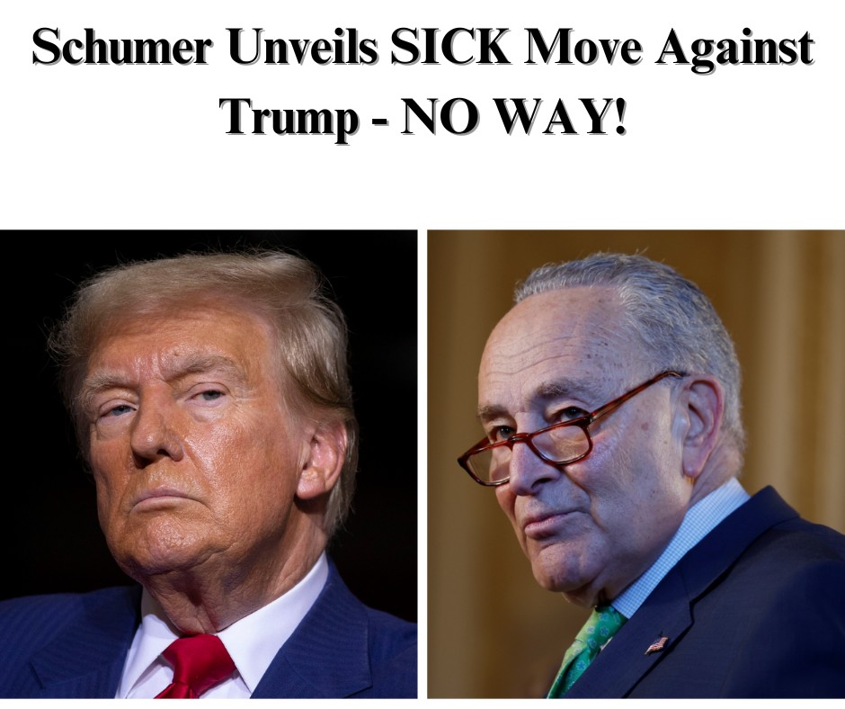 Schumer Unveils Multi-Pronged Plan To Oppose Trump