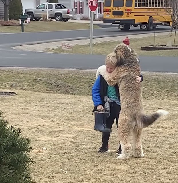 The young woman was brought to tears of joy as she was finally reunited with her beloved dog, who had been missing for months. True perseverance always prevails.