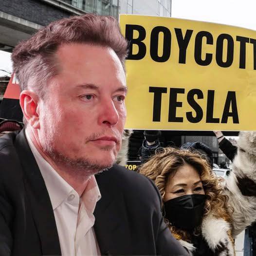 Teslaโs downfall fuels massive profits for investors, while Elon Musk watches his empire crumble.