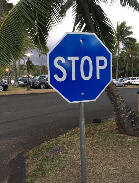 The Meaning Behind a Blue Stop Sign