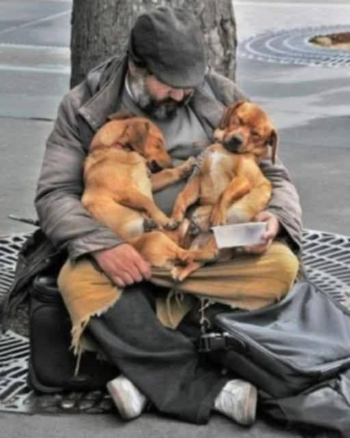 He fed his dogs before himself, but what was in his bag showed something else.
