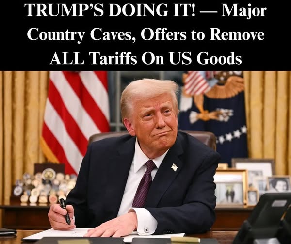 A Pivotal Trade Gesture: Country Offers to Eliminate Tariffs on U.S. Goods Amid Global Tensions