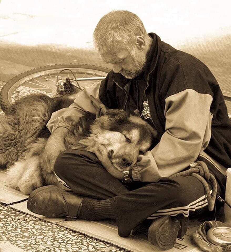 Old and alone, I thought that a dog would fill my existence. I found him street, dirty, hungry, I caressed him, he followed me without fear. Now he is my dog, I am the owner of him. I talk to him, he answers me by washing my hands. “Fido tomorrow we won’t have anything to eat, retirement is over, we’ll have to wait!”. That blessed day arrives, in line, with the other retirees, the libretto shattered by time, tight in my hands, I wait my turn. Fido shakes happily. He knows tha… See more