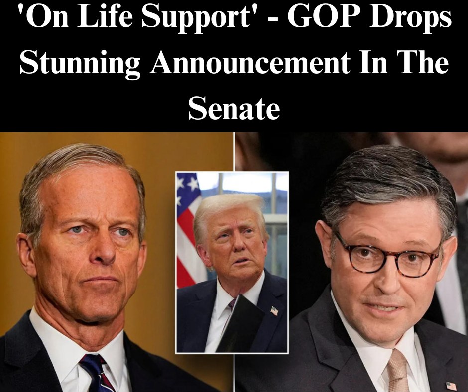 Trump’s ‘Big, Beautiful Bill’ Hitting Roadblocks In GOP-Controlled Senate