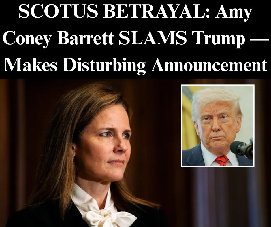 Justice Barrett Ripped By Trump Supporters Over Remarks Tense Hearing