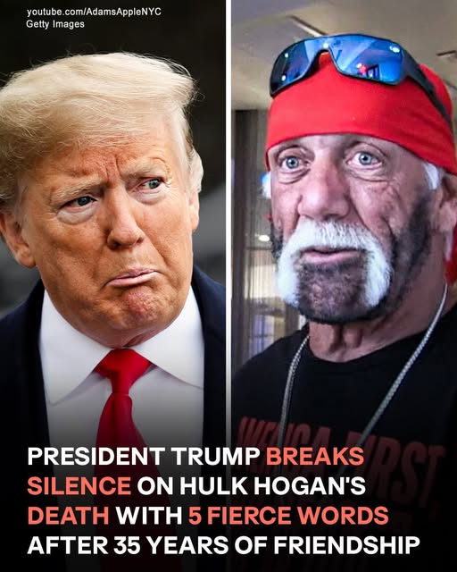 Donald Trump Speaks Out on Hulk Hogan’s